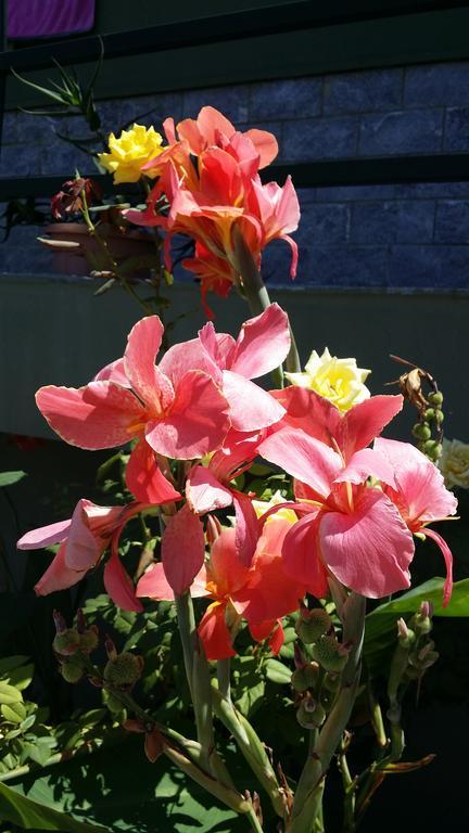 Cefalu Sweet House Of The Flowers Bagian luar foto